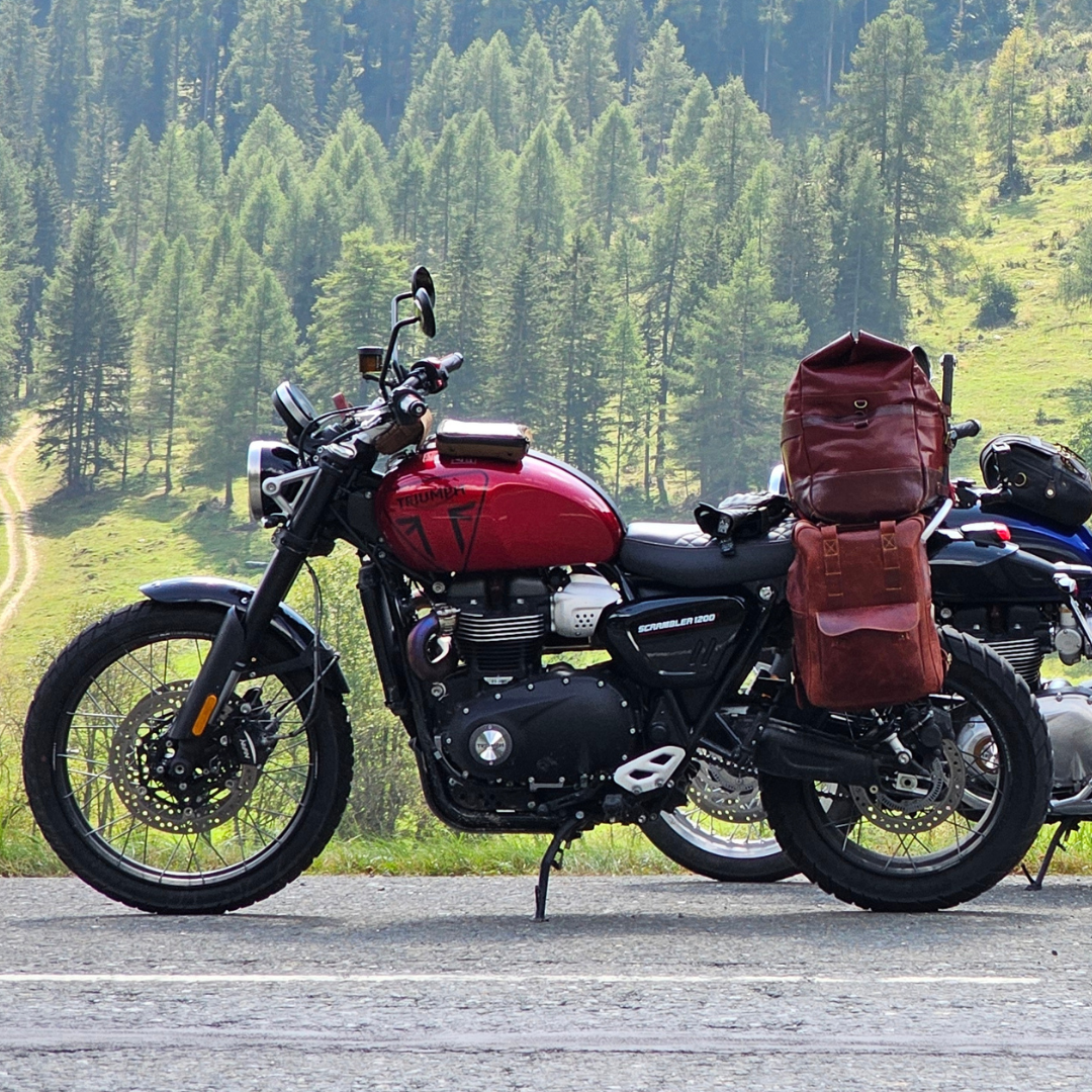 Triumph Modern Classics