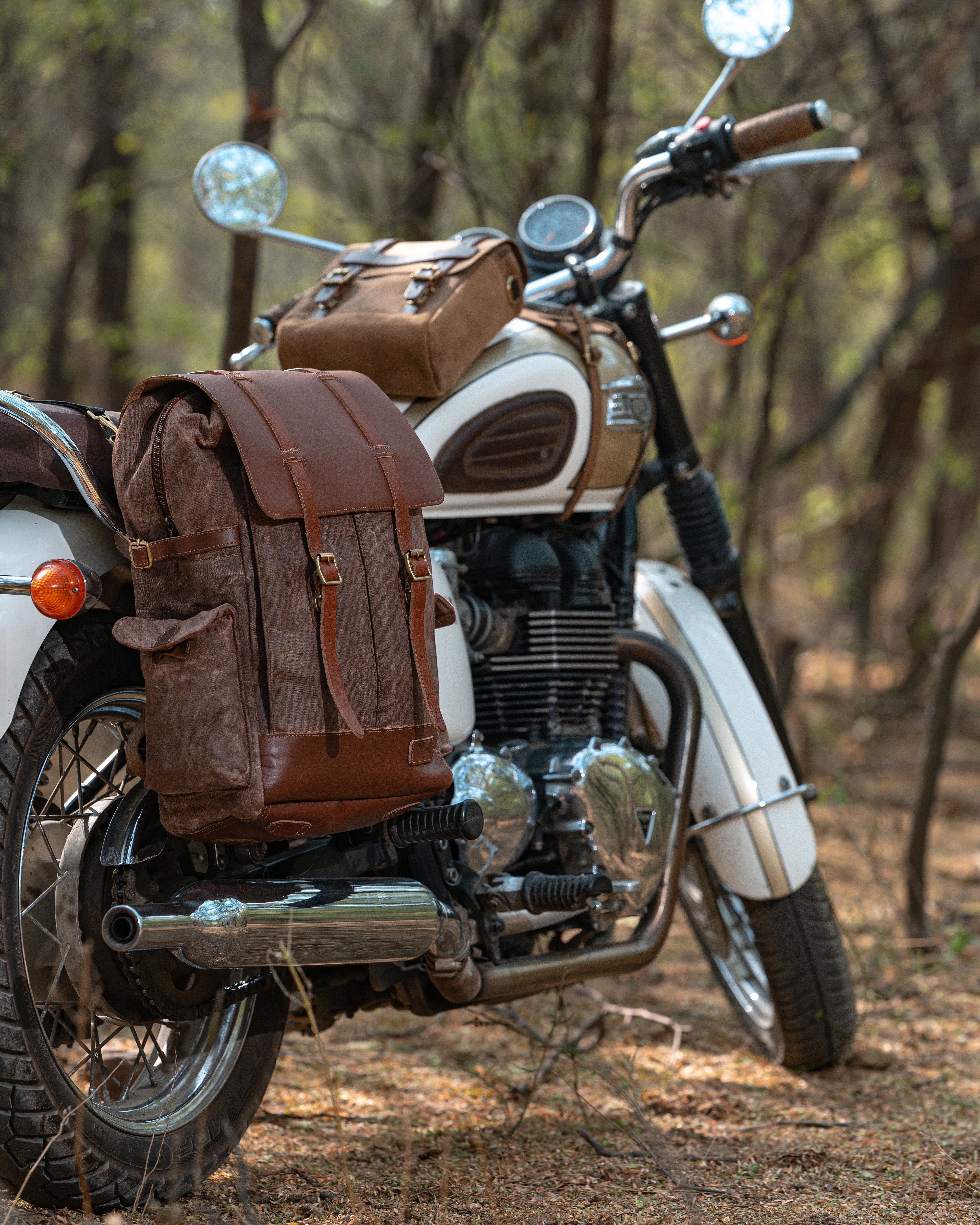 Motorcycle with brown saddlebags in a forest setting