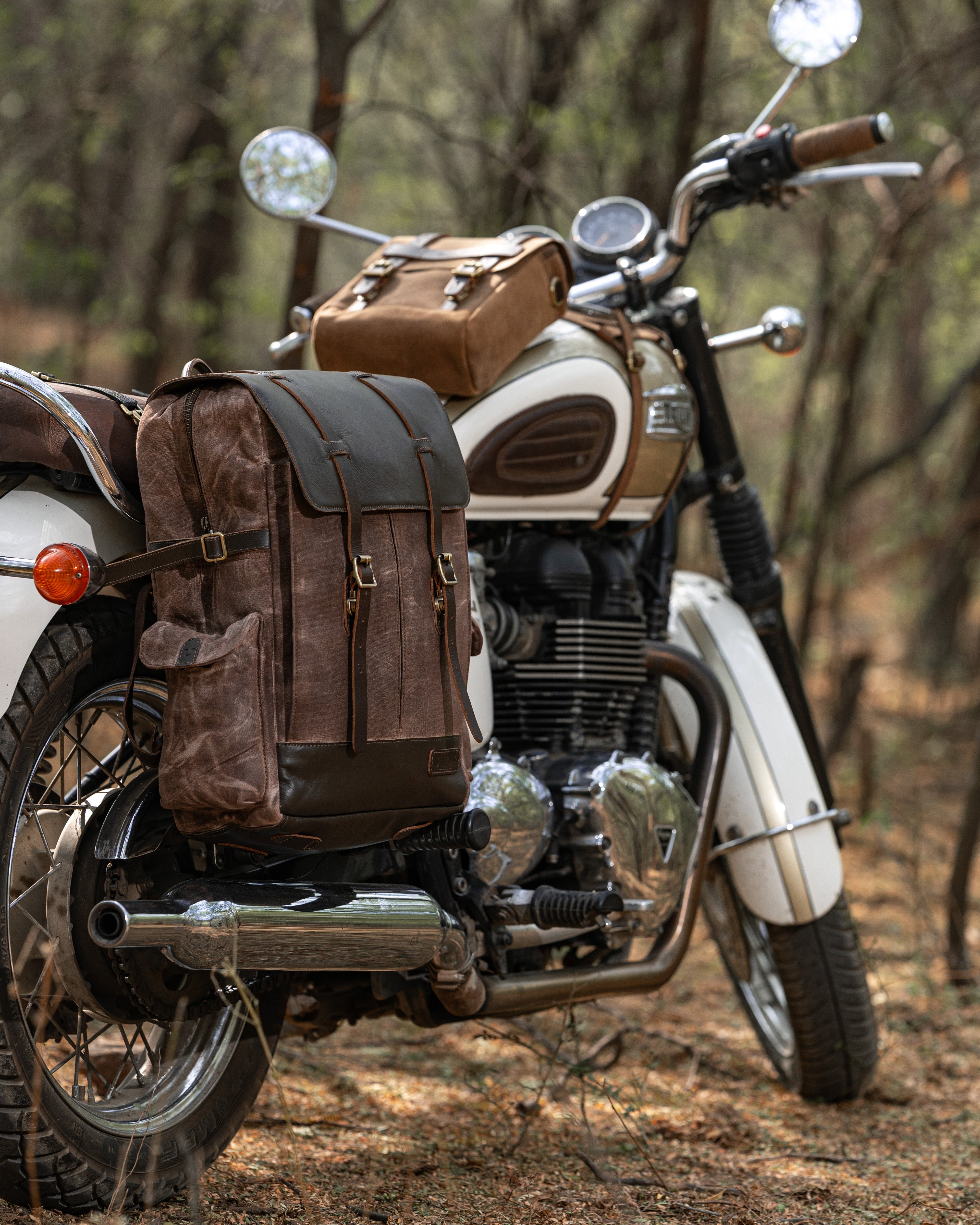 Motorcycle with brown saddlebags parked in a forest setting